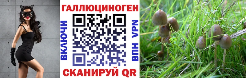 цены наркотик  blacksprut ONION  Галлюциногенные грибы GOLDEN TEACHER  Циолковский 